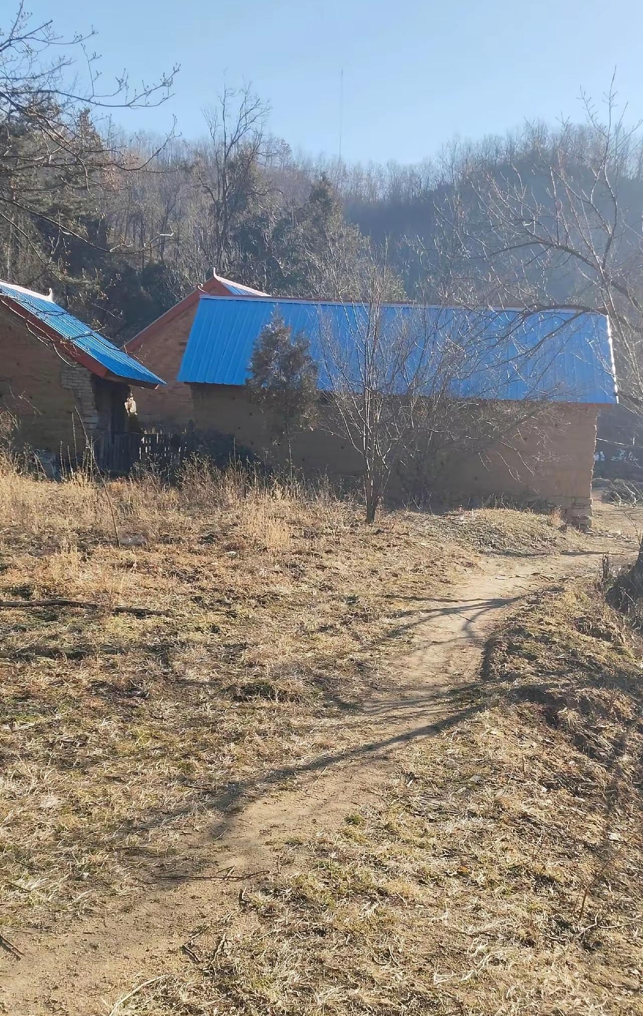 春天来了 
枯草在荒野里哭泣
有的在新生
有的在慢慢腐烂