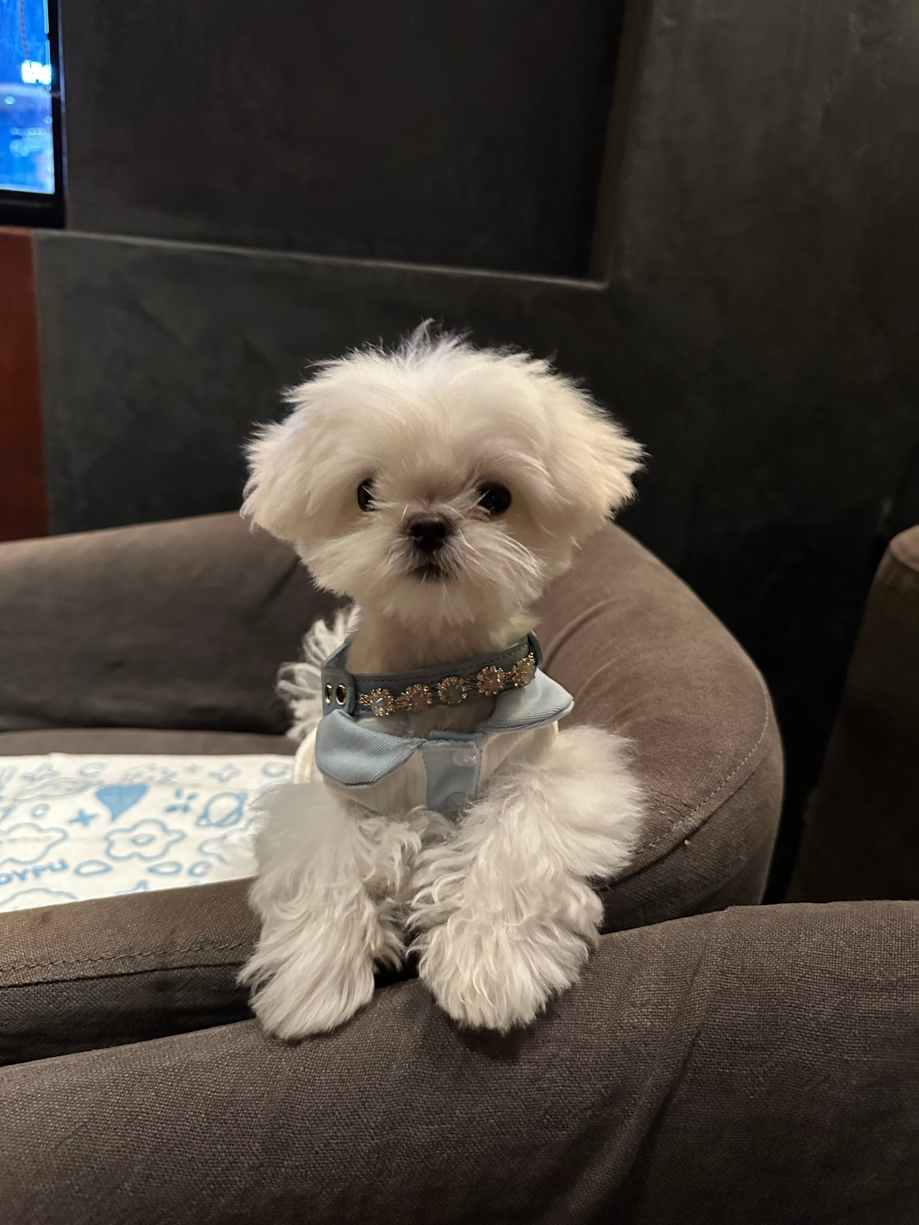 小时候你还是个乐观的小男宝宝现在在妈妈的精心呵护下已经变成了邪恶的女装大佬 ​​