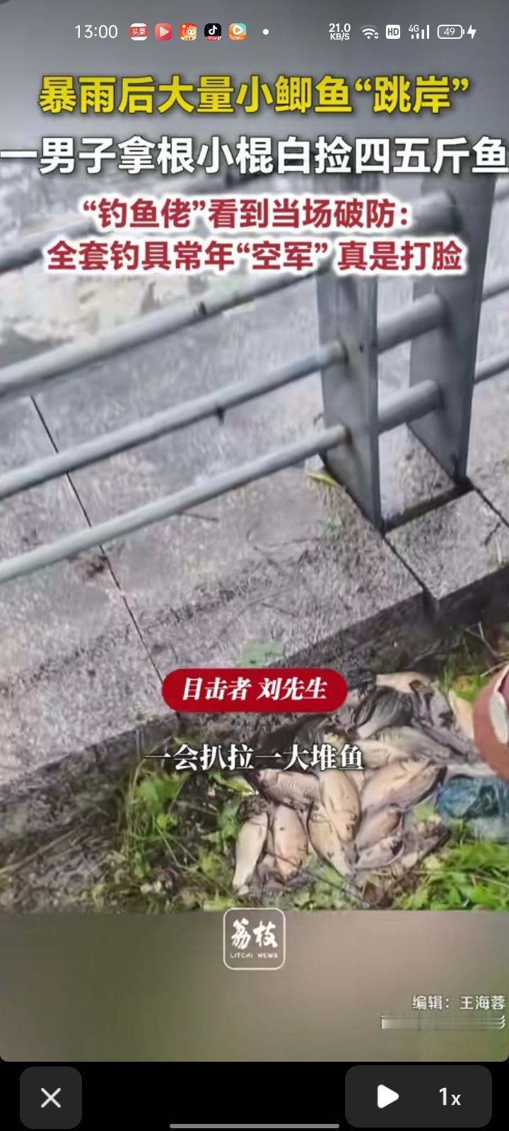 7月15日，延边州敦化市。网友晒视频称，暴雨过后，大量小鱼跳岸，有位大哥拿着小棍
