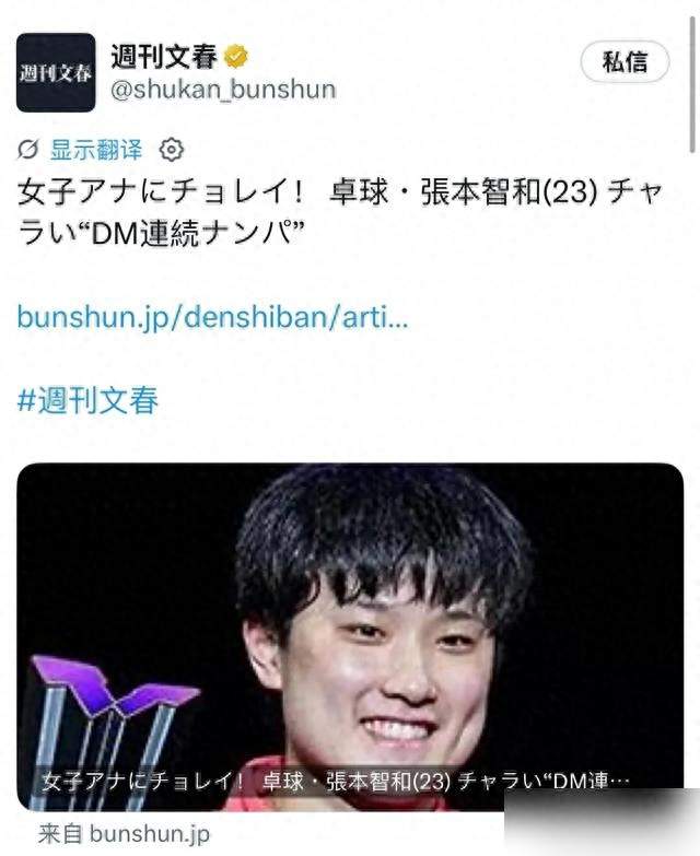 张本智和：胜利后的人设危机与舆论裂痕