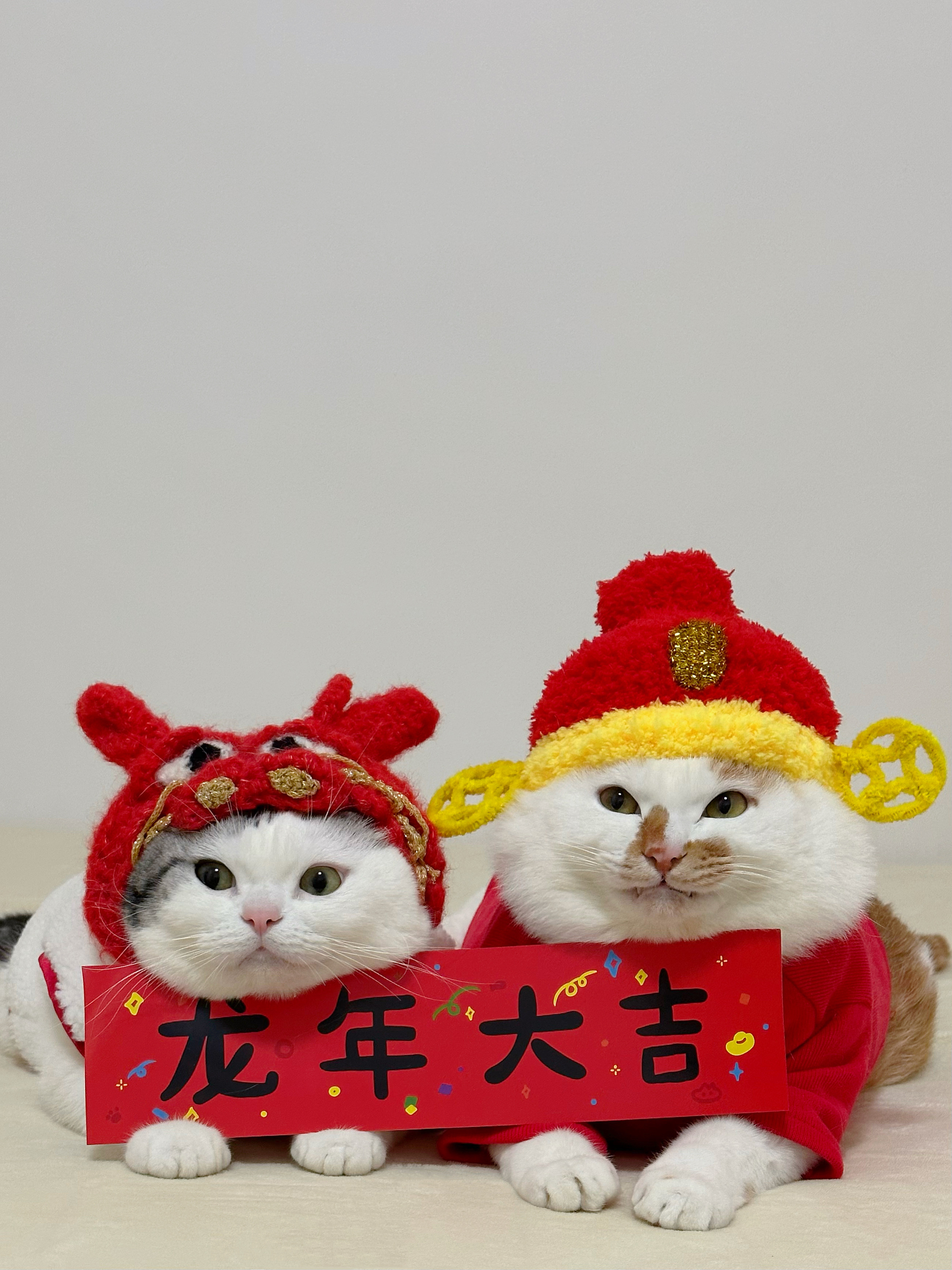 小猪咪去ee家帮忙贴对联[舞狮]家里有啥活都可以让它们干的[老师好][老师好] 