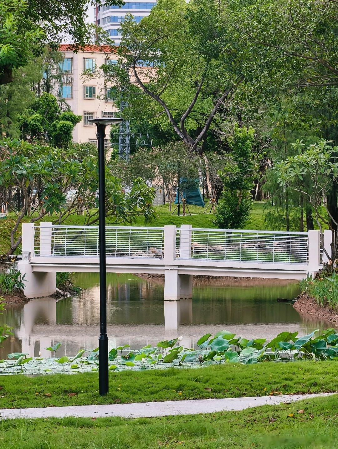 中山商业城建观察录 港口湿地公园（凯旋蓝岸东侧）改造原计划五一前开放🕔，现在都