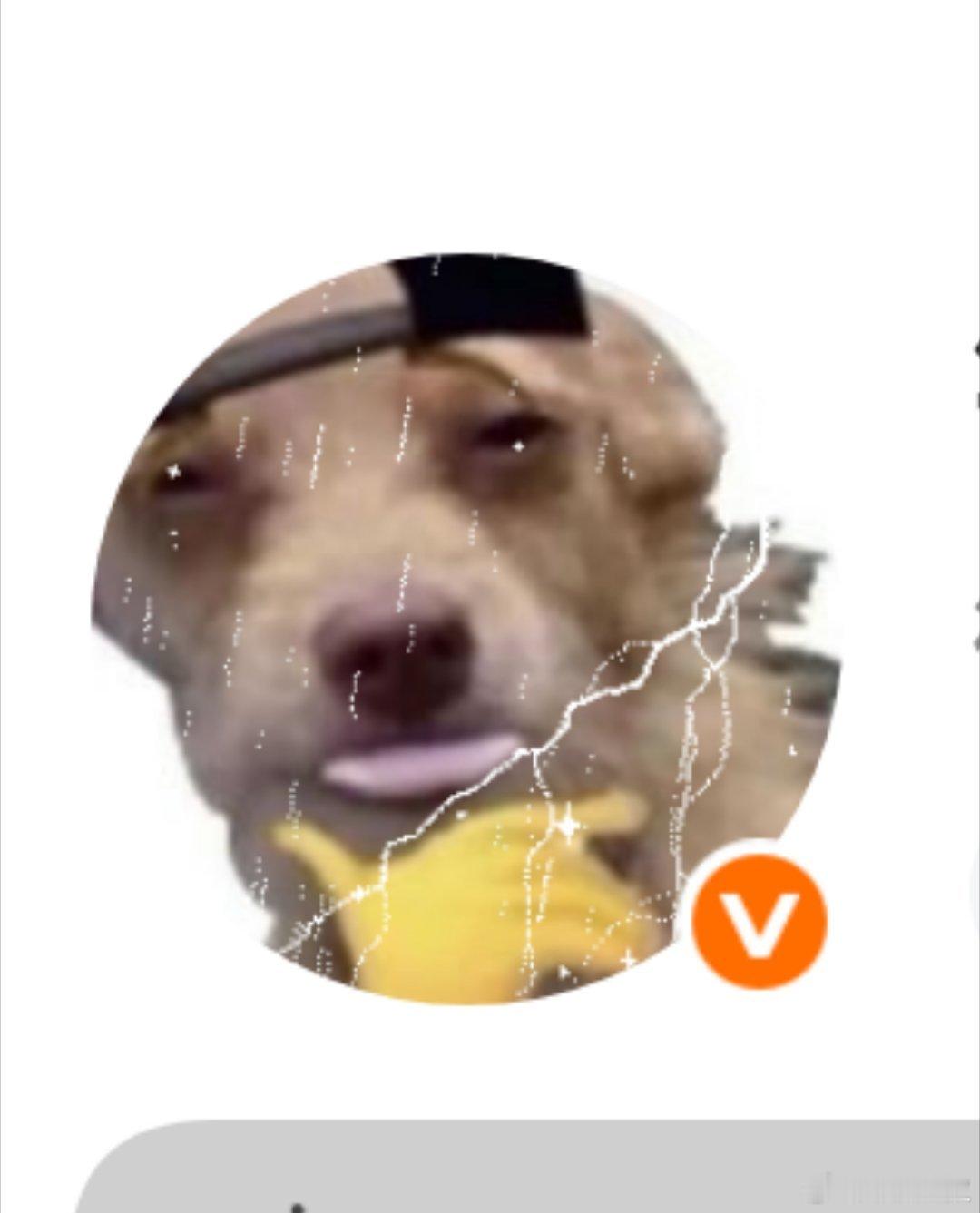 爱上装扮王启明了 