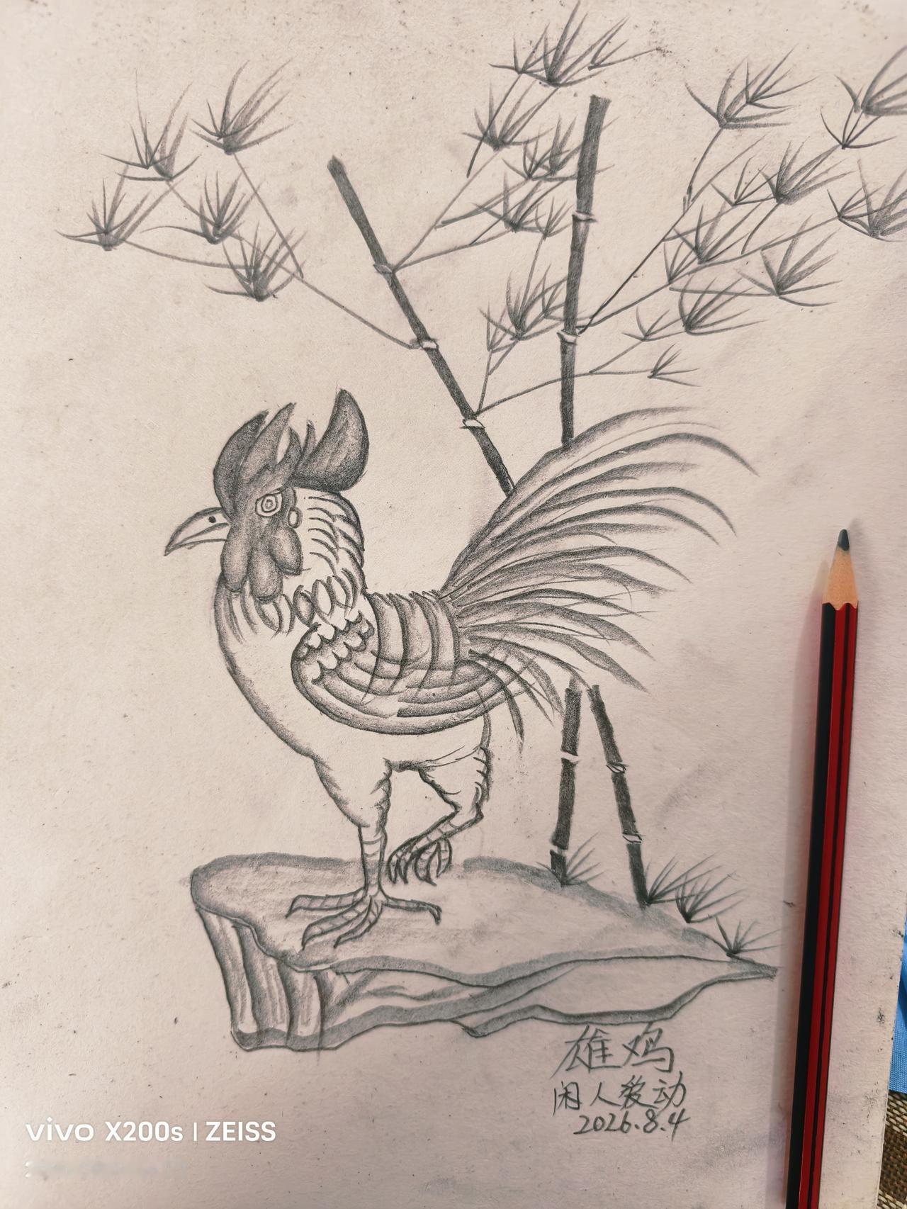 夏日生活打卡季午休之后，闲人爱动在家水，用铅笔绘制雄鸡翠竹图。