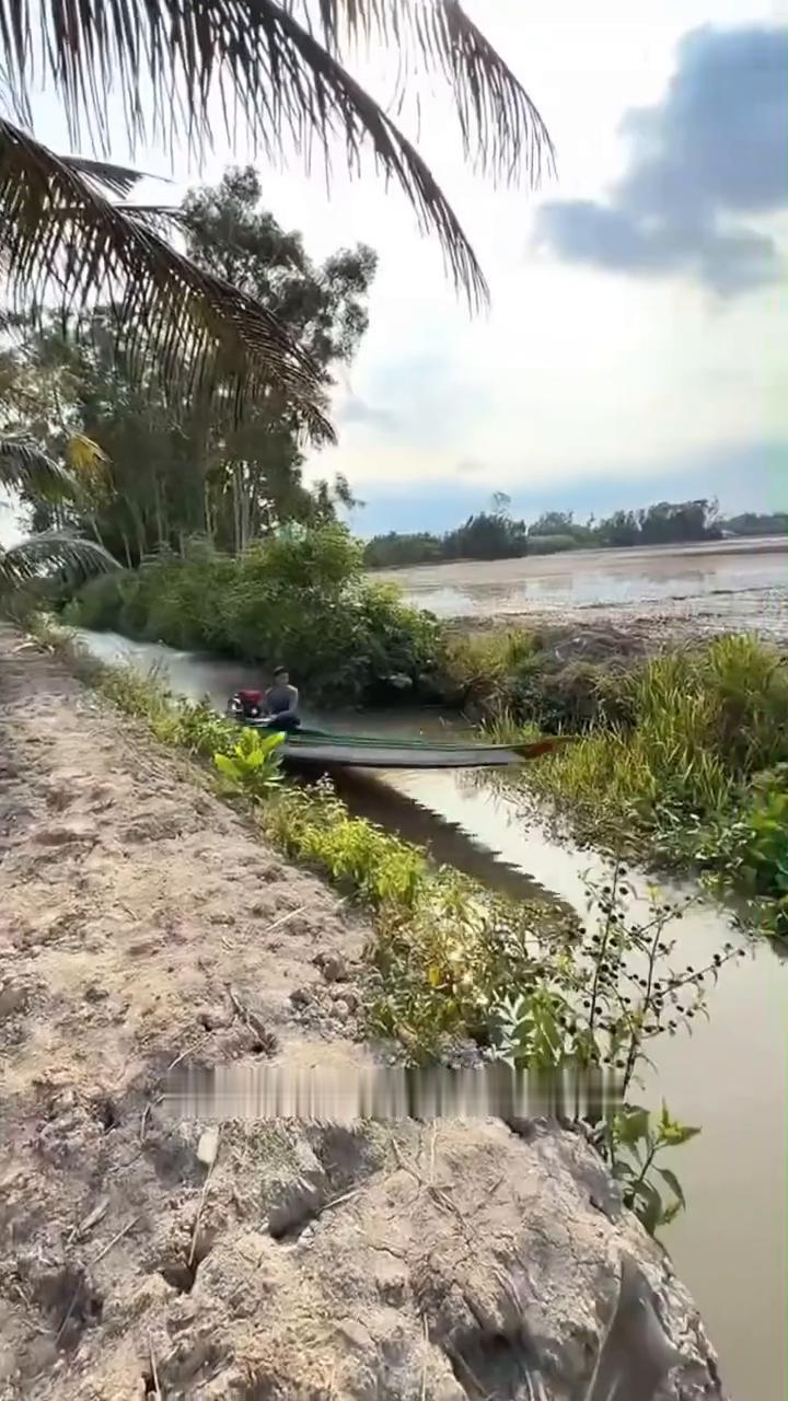 注意看，这位开快艇的小哥可不是在耍酷，而是送完快递返航的路上。
越南水乡河道密布