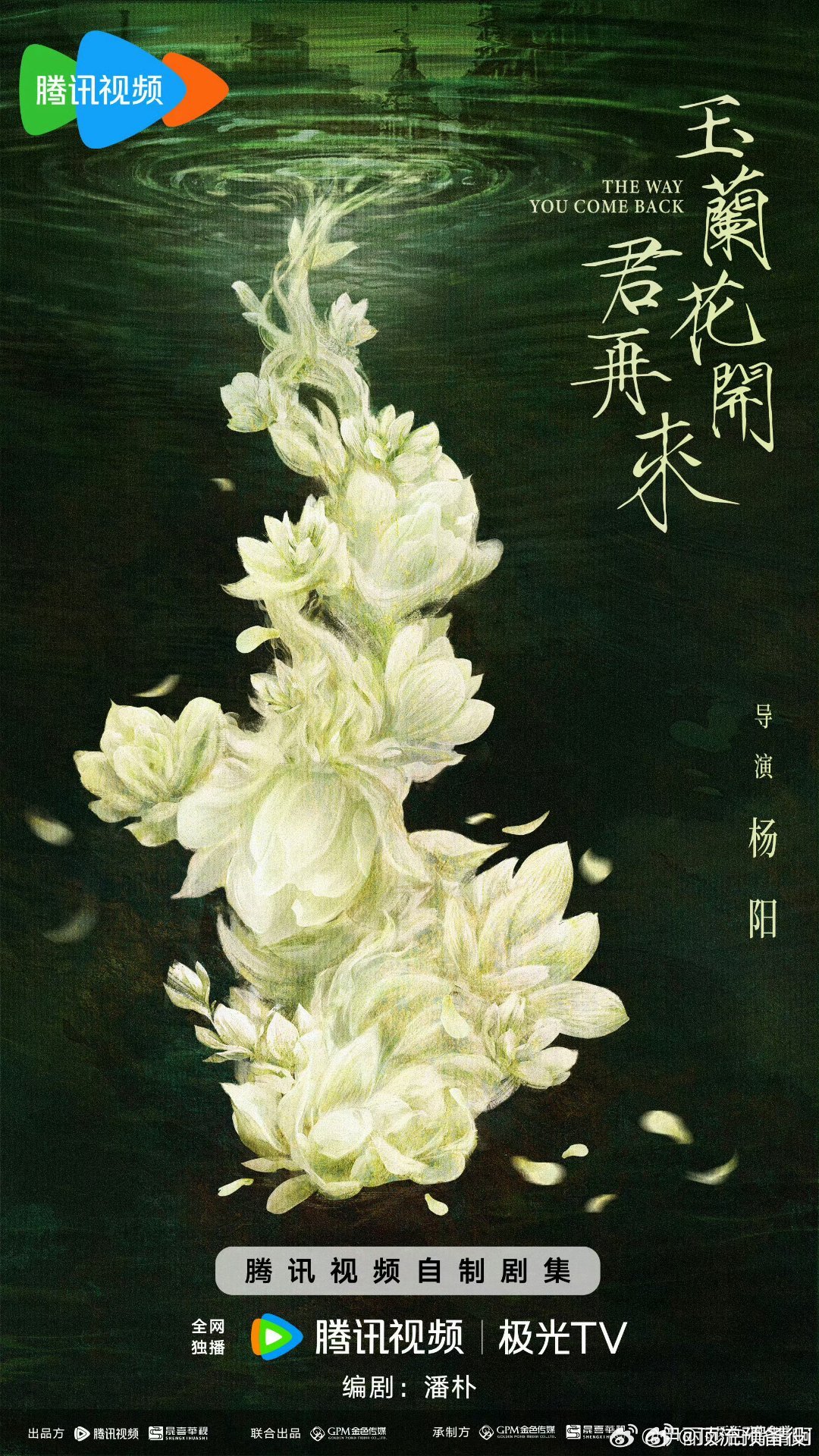 杨紫玉兰花开君官宣，白玉米这个名字寓意就很好谁懂，想看紫妹挑战这个角色 [打ca