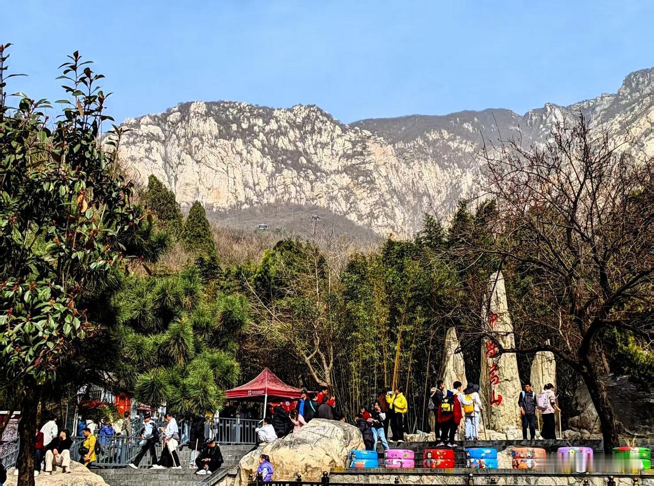 站在山顶那一刻，所有疲惫都值了！

旅行最治愈的，从来不是赶景点，而是抬头撞见一
