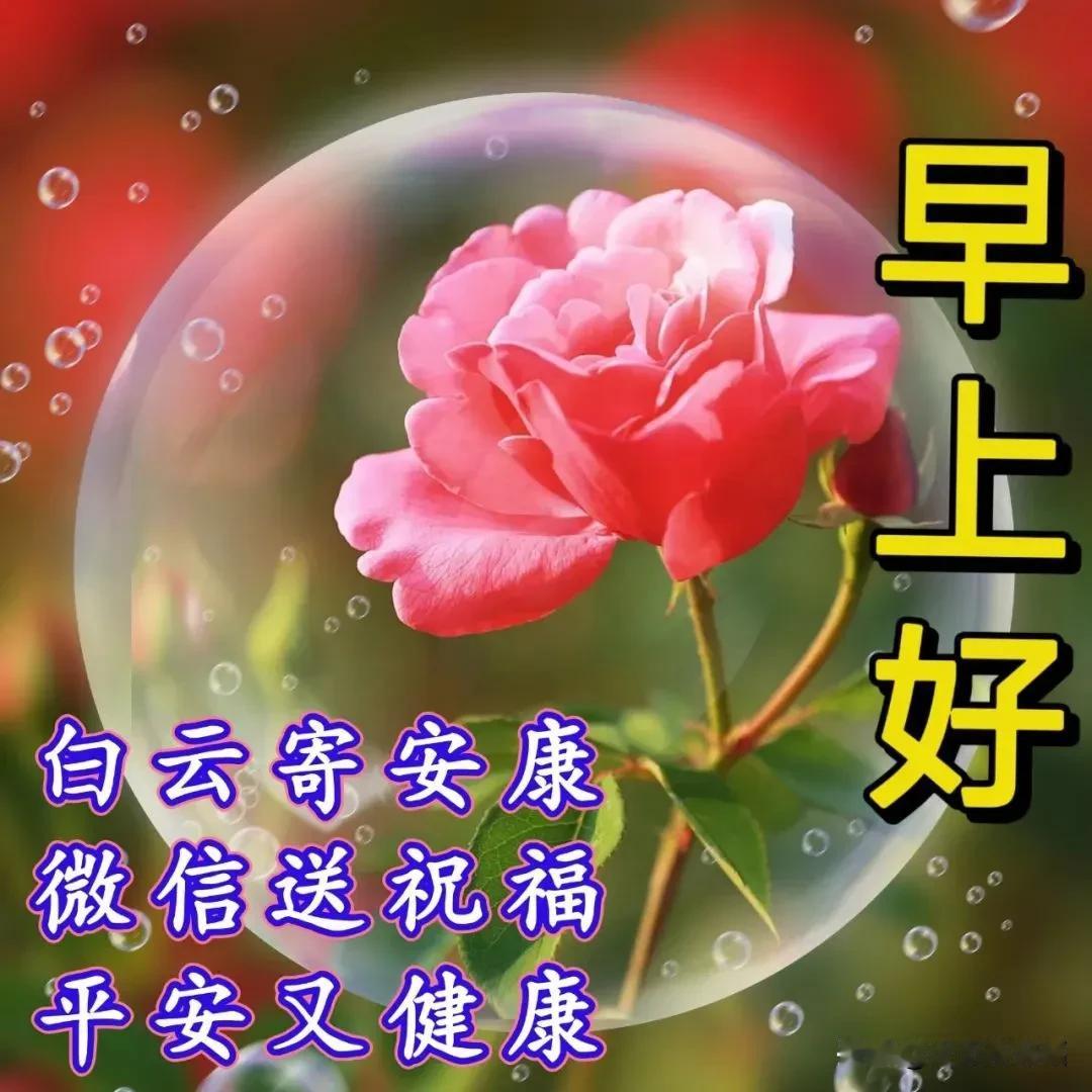 早上好问候祝福语，缘深缘浅，彼此思念，彼此牵挂

🍂一声祝福暖人心🍒
🍂天