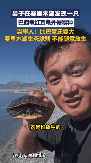 ”影响太坏了！“新疆博乐，一男子在赛里木湖边发现了一只乌龟，捡起来仔细端详之后忍