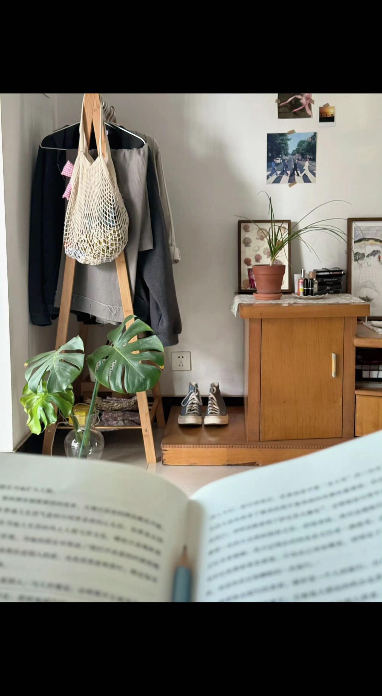 📖书页翻动时，绿萝影子在墙上跳圆舞曲💃。旧木柜藏着时光褶皱，帆布鞋在等下一个