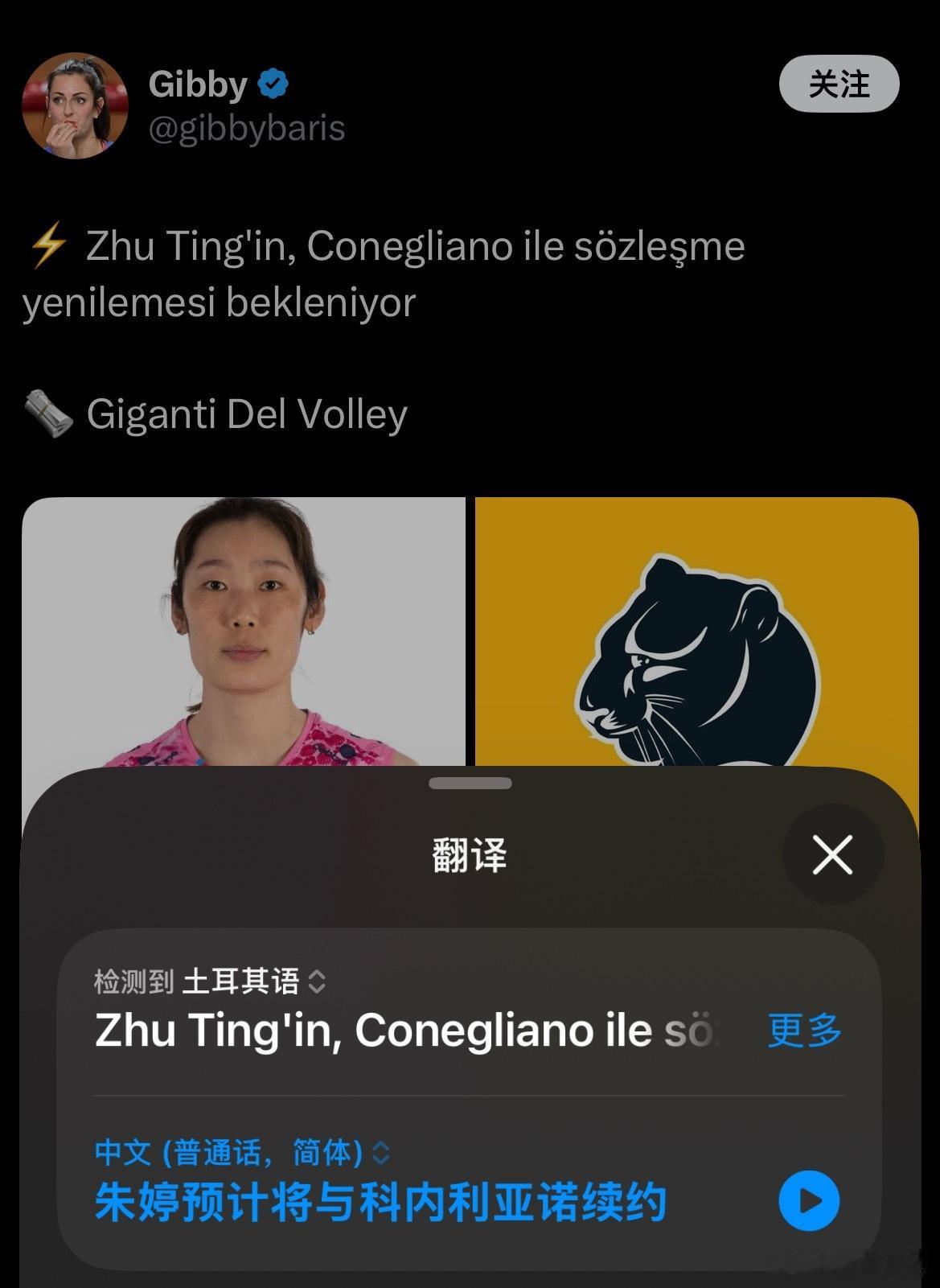 转会传闻—应该官宣也快了世界女排新闻