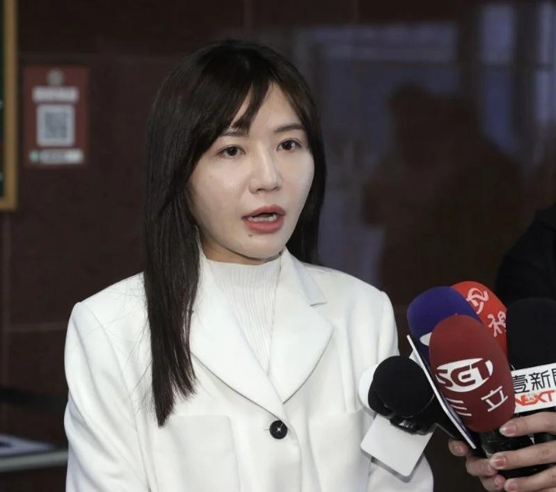 助攻沈伯洋参选北市长？吴沛忆明登记参选民进党台北市党部主委
民进党2年1次的党职