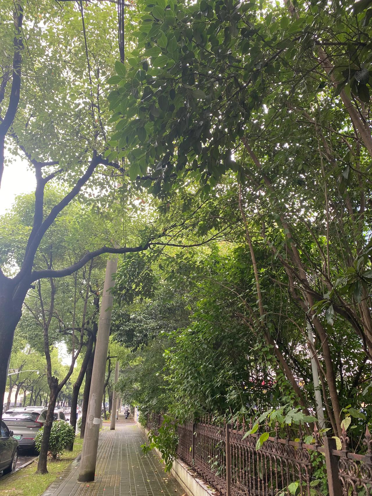 年龄的焦虑多半源自对自己的不可知和不肯定。

十几二十几岁的时候，肥胖和自卑让我