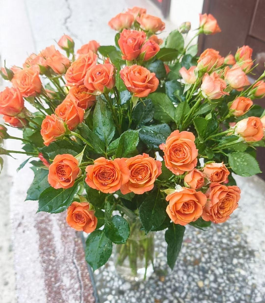 分享一张最近随手拍的照片