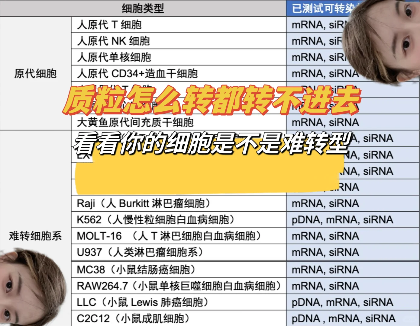 转染效率低？看看你的细胞是不是难转型