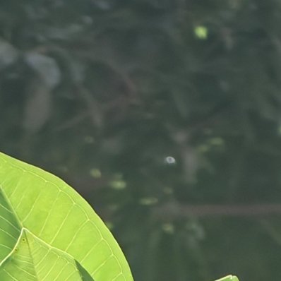 每日一善 真正的富有，是醒来时嘴角不自觉的上扬，是心底那抹驱散阴霾的明亮。 