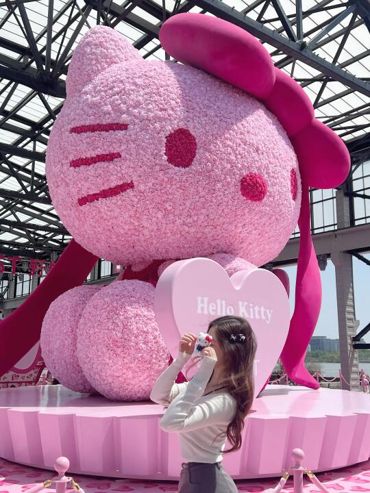 蹭蹭Kitty女明星的热度🎀