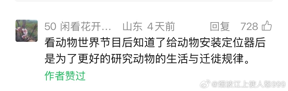 让你裸奔，让骗子隐身……手机实名制十年，到底意义何在？网页链接 网页链接