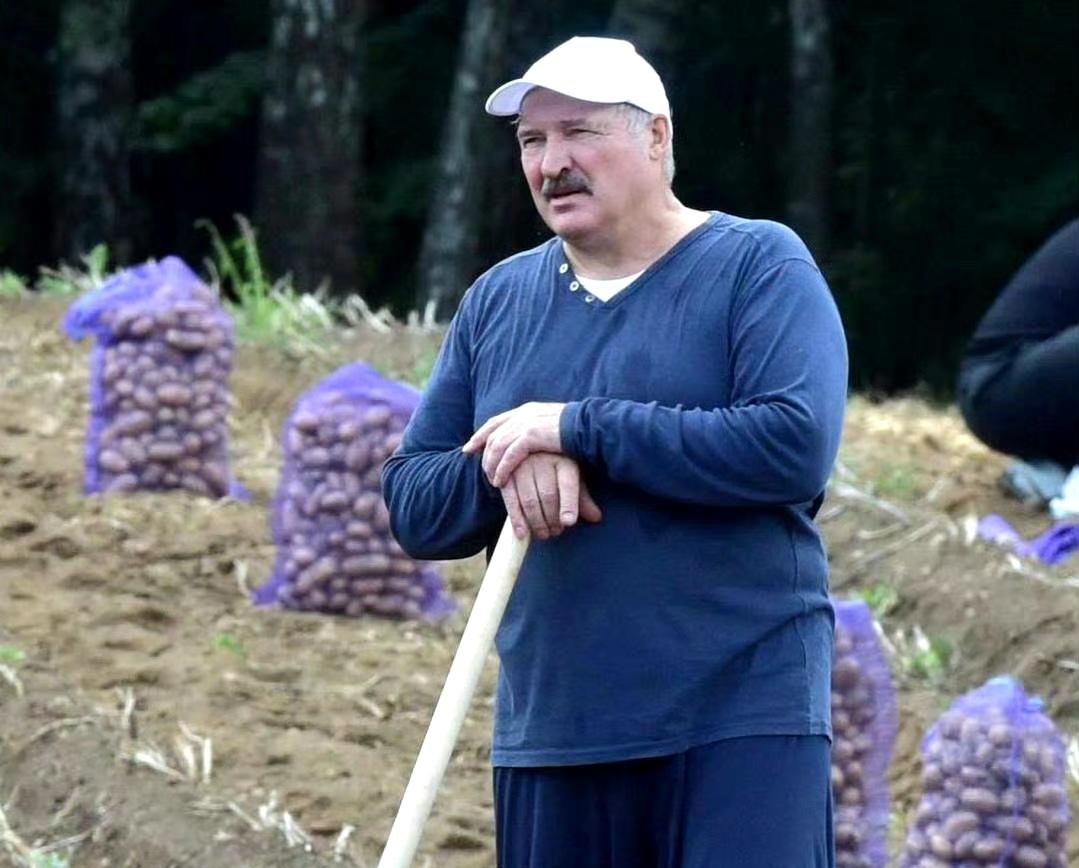 卢卡申科说，本届很可能是他的最后任期，不再寻求连任。他儿子也不会继任者。 ​​​