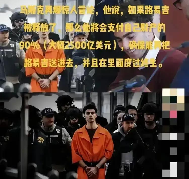 马斯克真敢说，拿出90%的财富让路易吉把牢底坐穿！


美国普通人把路易吉的行为