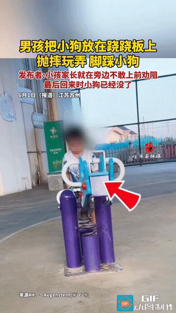 "坏小孩与冷眼旁观的家长！" 网传江苏某地游乐场视频：一男童强行把一只可怜巴巴的
