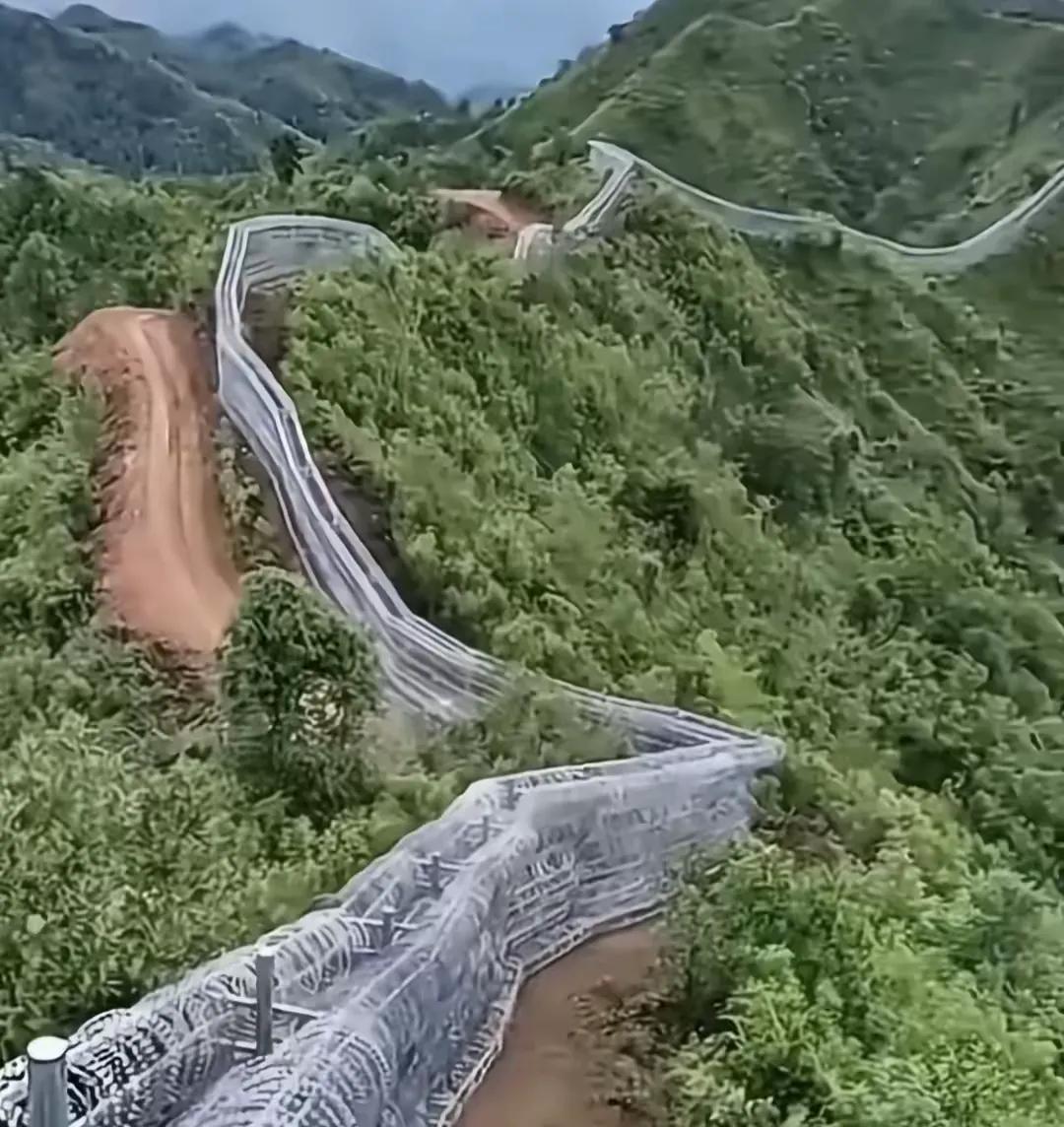 从防火的角度来看，这种隔离网没有任何作用！因为网的内外植被都是相连的！一旦外面植