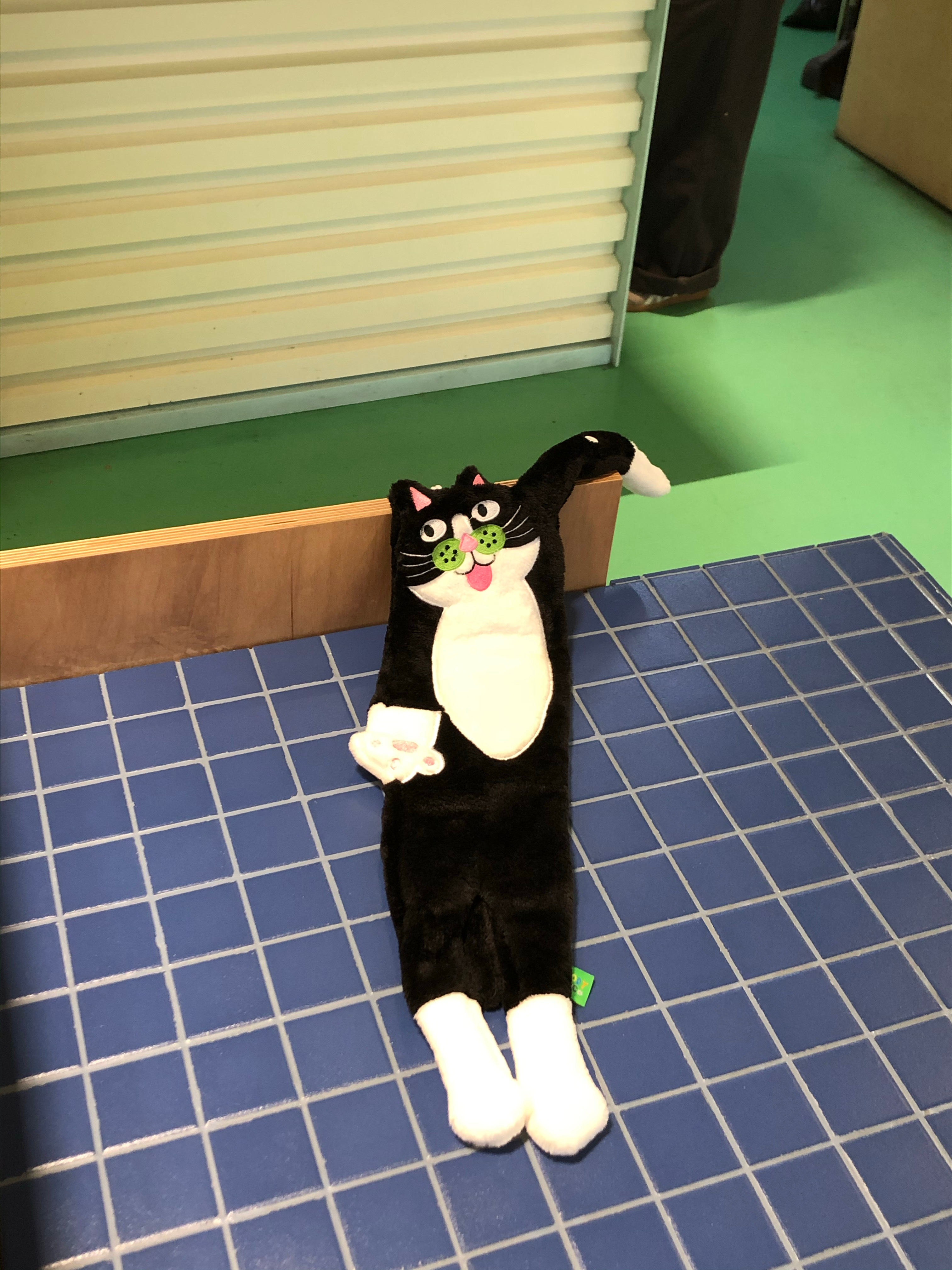 严告翔萌不 今天买到的纪念品 