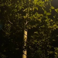 阳光信用 如果生活失去了阳光，那就让路灯照亮他。 