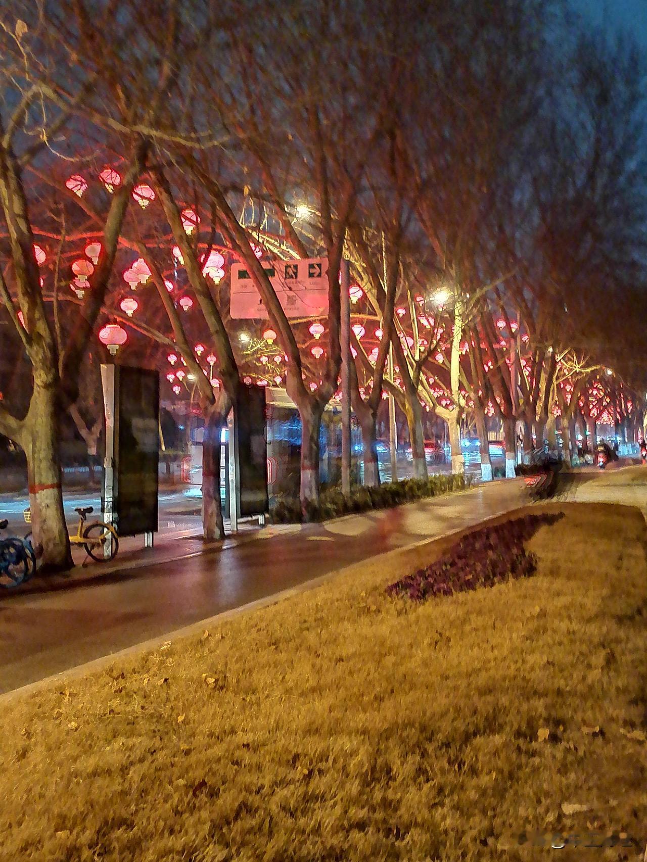 在嵩山路和建设西路，那一盏盏红灯笼一关掉，好家伙，一眼都望不到边。这场景，瞬间就