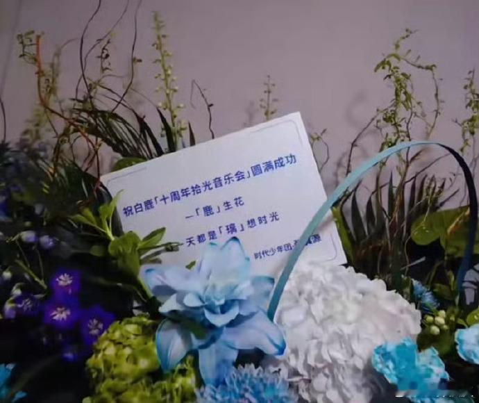 张真源给白鹿送花篮张真源给白鹿十周年音乐会送花了张真源给白鹿十周年音乐会送花了，