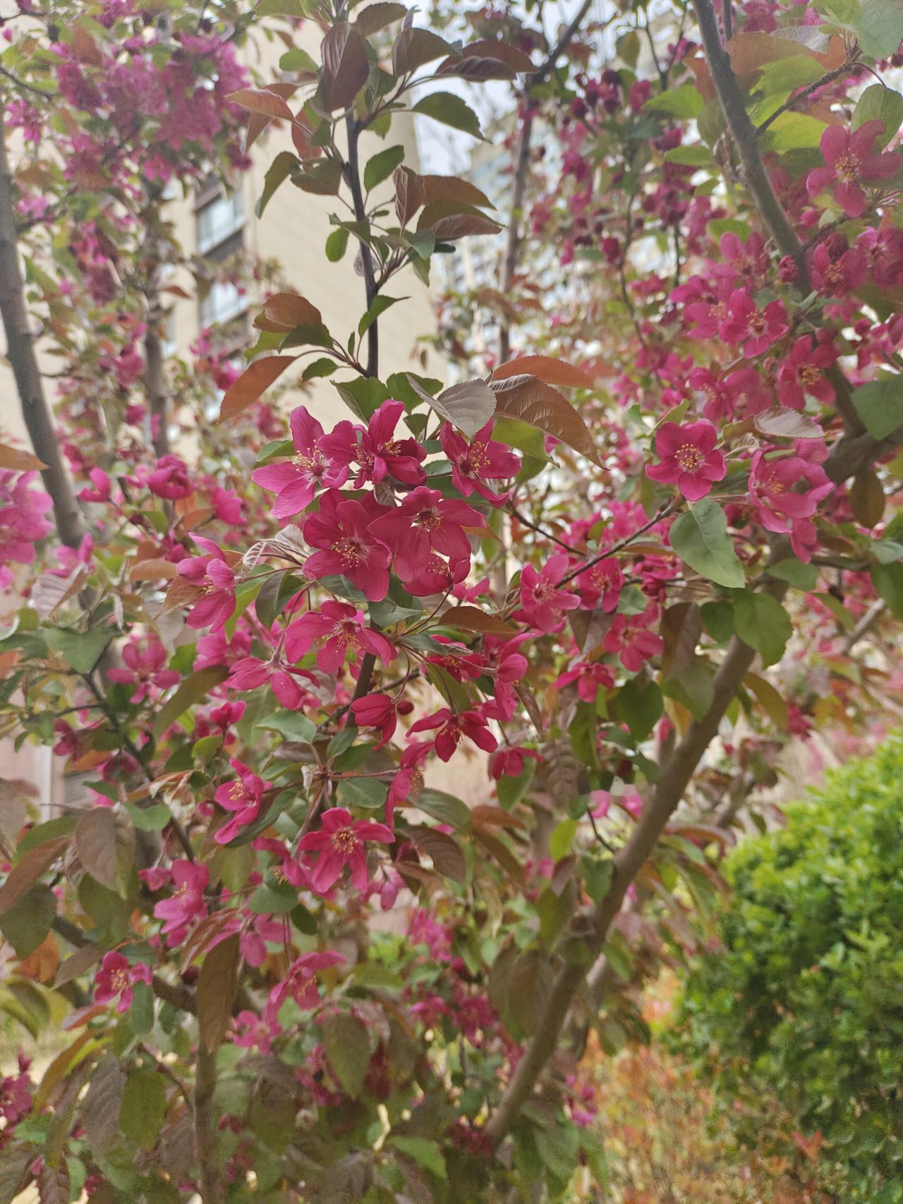 熬不动夜，三点睡七点醒，哈欠眼泪止不住。
以前总盼着长大，现在却怕岁月。听到亲戚