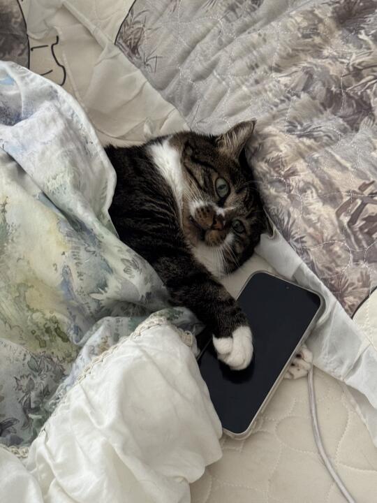 人，为什么不给咪发消息。