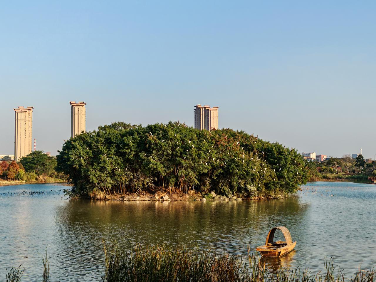 什么叫利润最大化？
不同的场景，不同的地方？不同的立场？怎么看待这个问题？又怎么