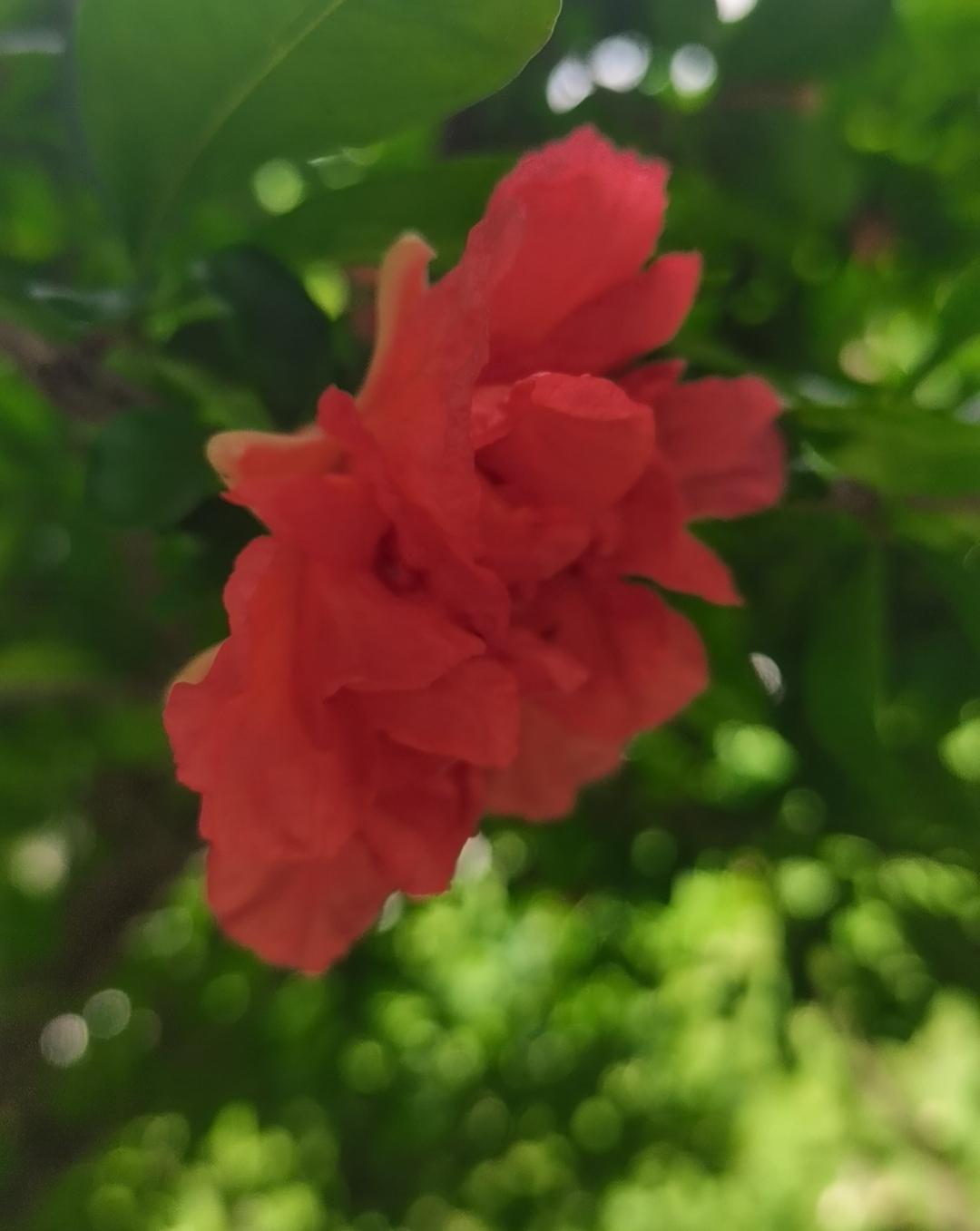 时间没有虚度，发生过的都将被秃笔一一记录。我知道今天阴云密布，也记得昨日栀子花悄