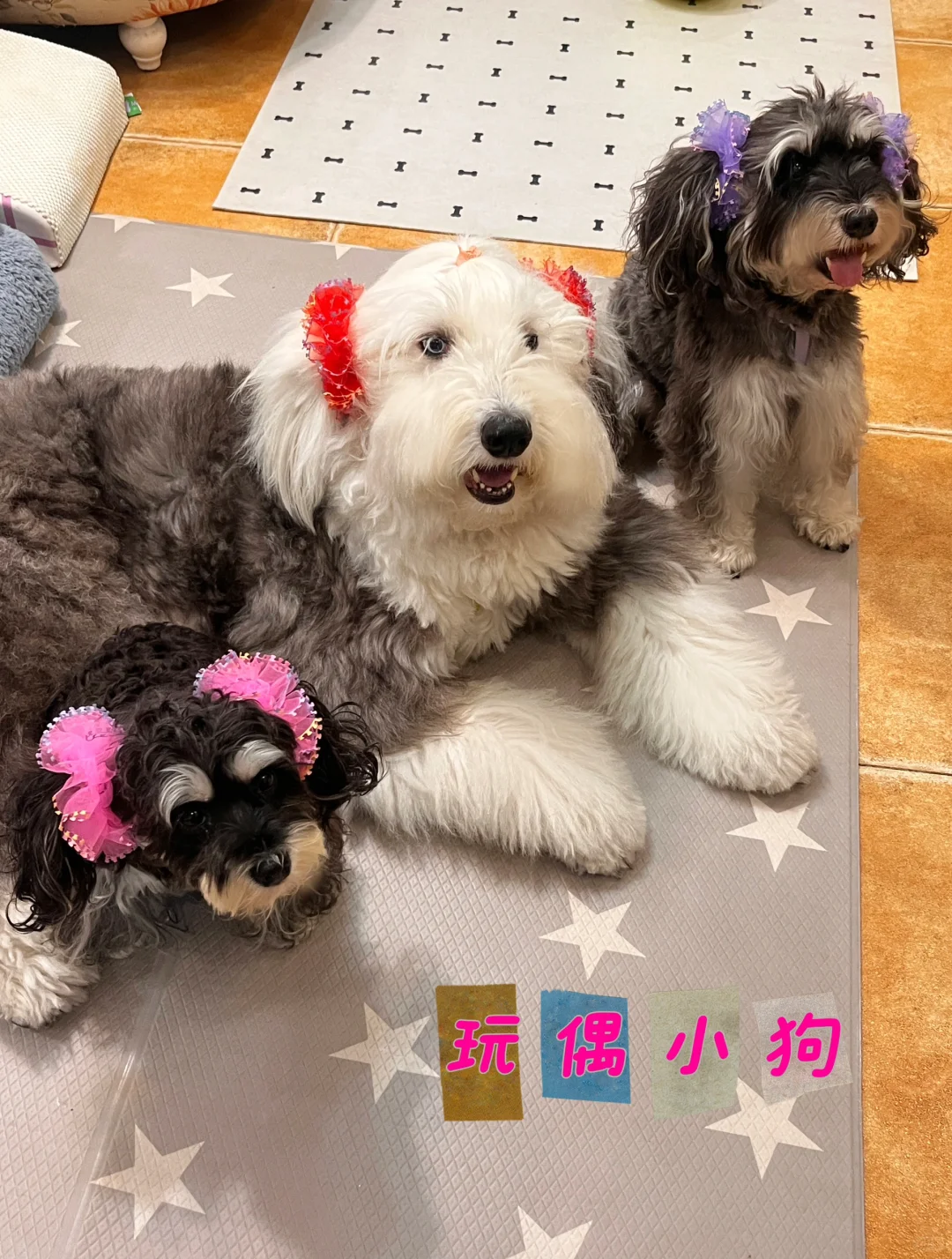 像不像毛绒玩具？