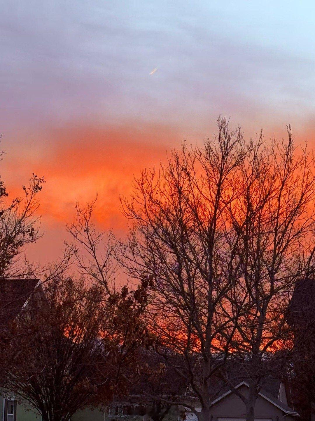 随手拍得的社区冬景 乖妈摄影 