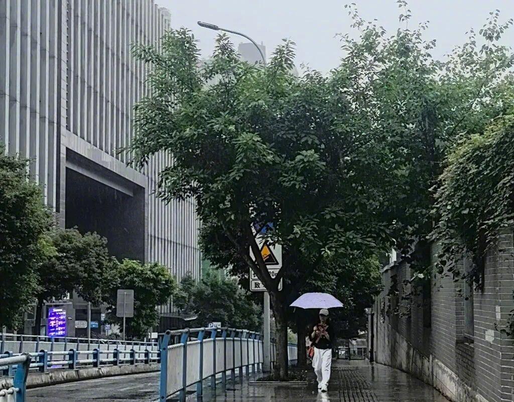 【重庆雨水为何“超长待机”？周末有雨吗？专家回应→】进入六月，重庆阴雨连绵、湿度