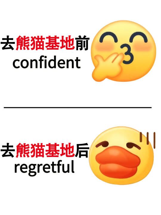 好后悔去熊猫基地没做攻略！回来连夜反思😭