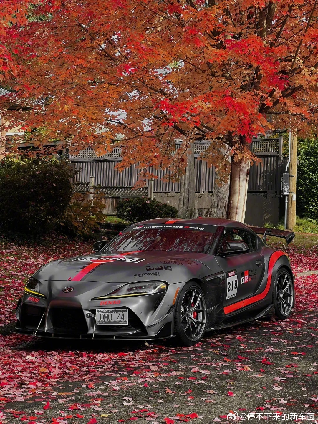 漂亮的枫叶配顶帅的Supra，秋天就要这么过！（图源网络，侵删） ​​​