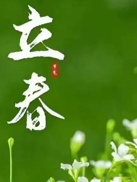 今日立春，春回大地，万物复苏。寒冬已经过去，我曾经说过，没有熬不过去的冬天，只有