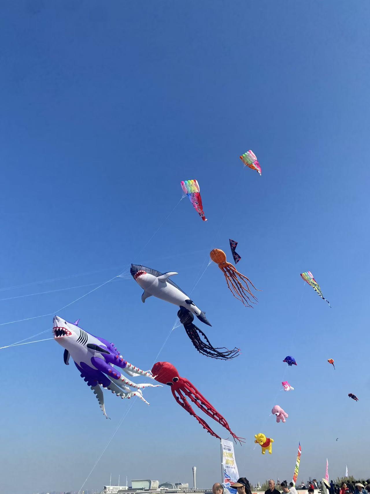 很多人问成功是什么？
世俗意义上的成功意味着财富、地位、权势，这样的成功是很多人