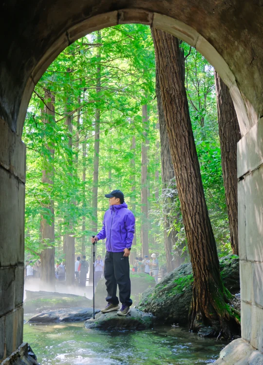 惊❗️北京5元的快乐徒步迷雾森林🌳地铁直达