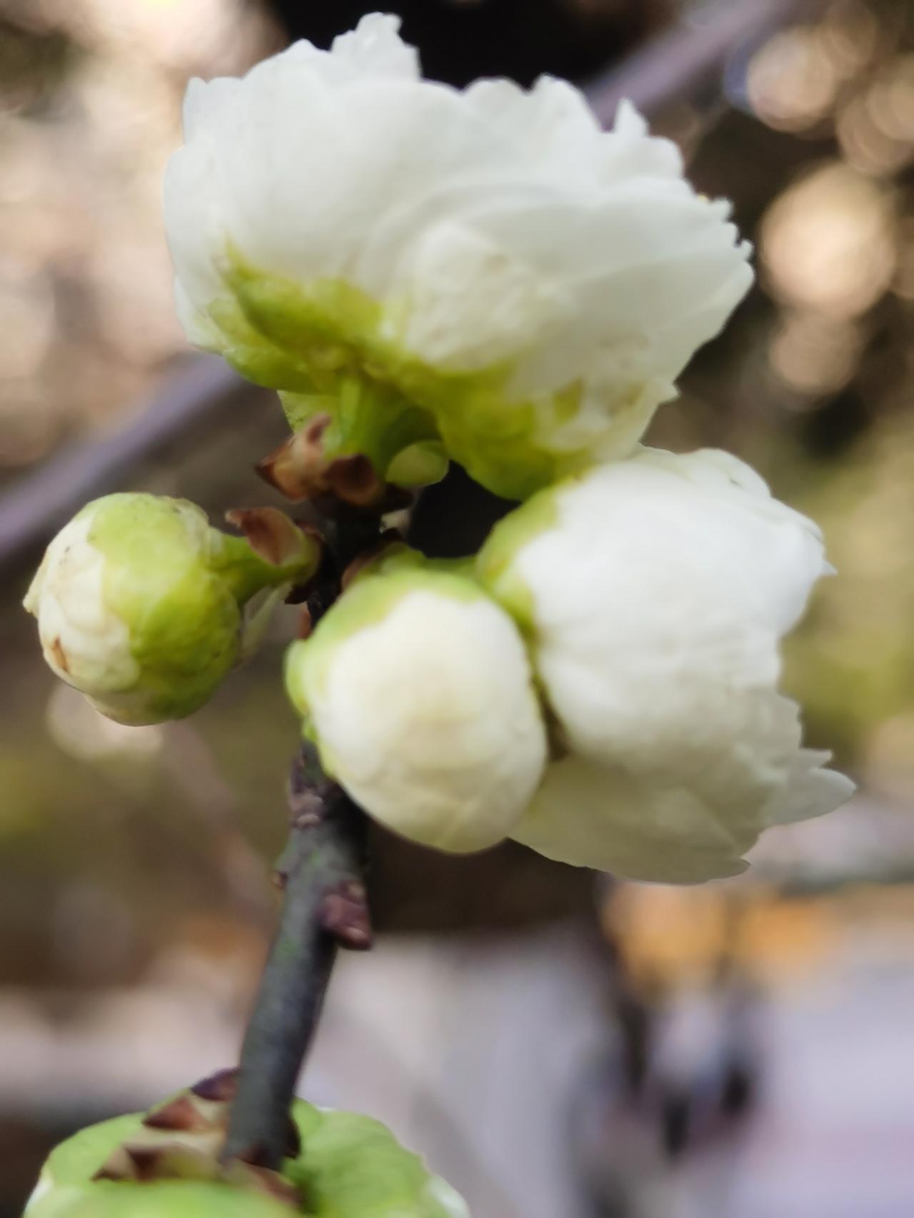 汉中天汉文化公园随手拍