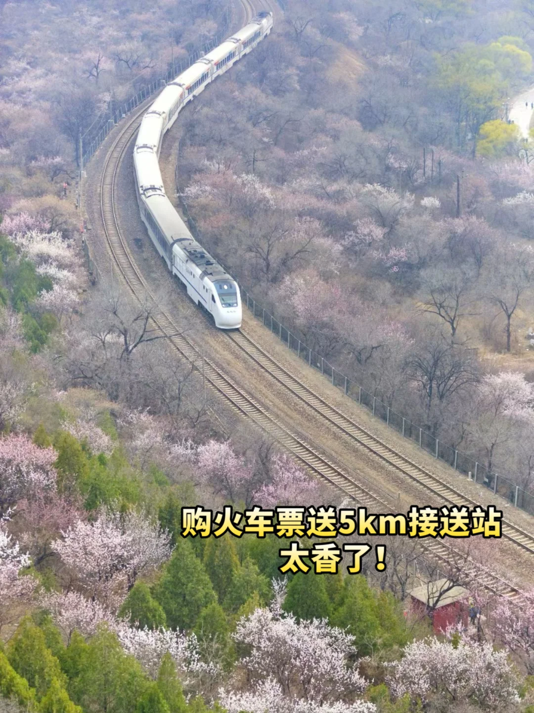 购火车票赠接送站太划算了，给我冲🔥