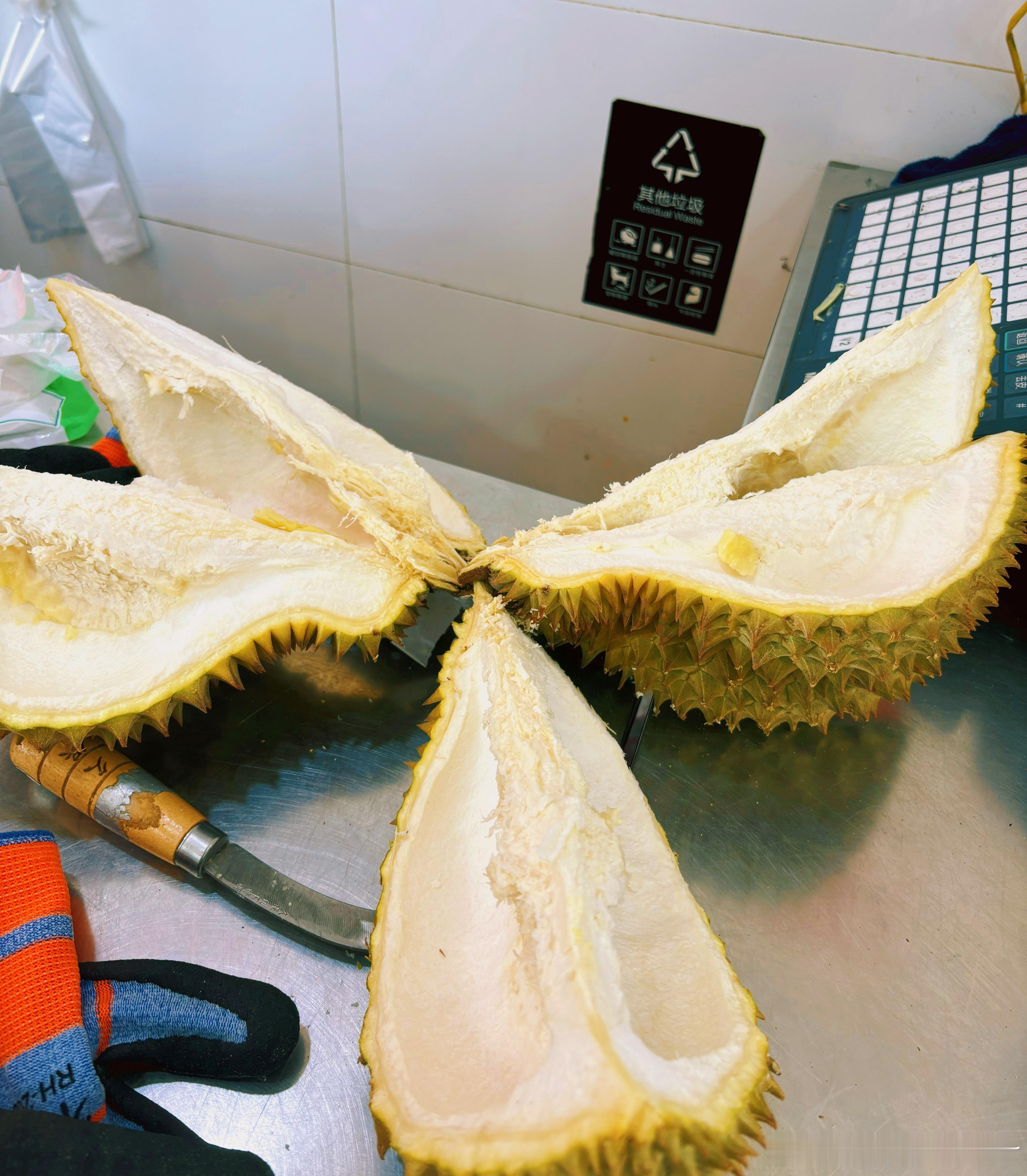 1天之内超6300吨榴莲鲜果运抵广州今年能实现榴莲自由了     昨天买了个榴莲