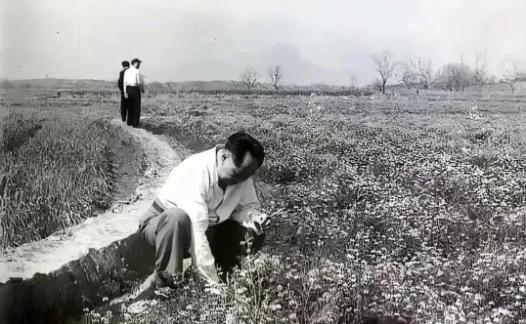 这张旧照片令许多人感动不已，甚至泪水模糊了他们的双眼。这张照片中没有红地毯、雨伞
