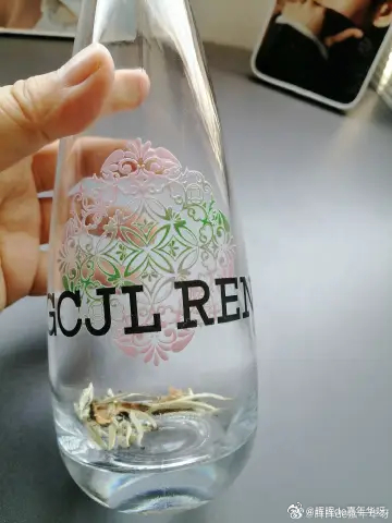 任嘉伦 静静等待今天的第一杯茶：周生陈是的，现在红房子有“干装”周生陈，便于大嘉
