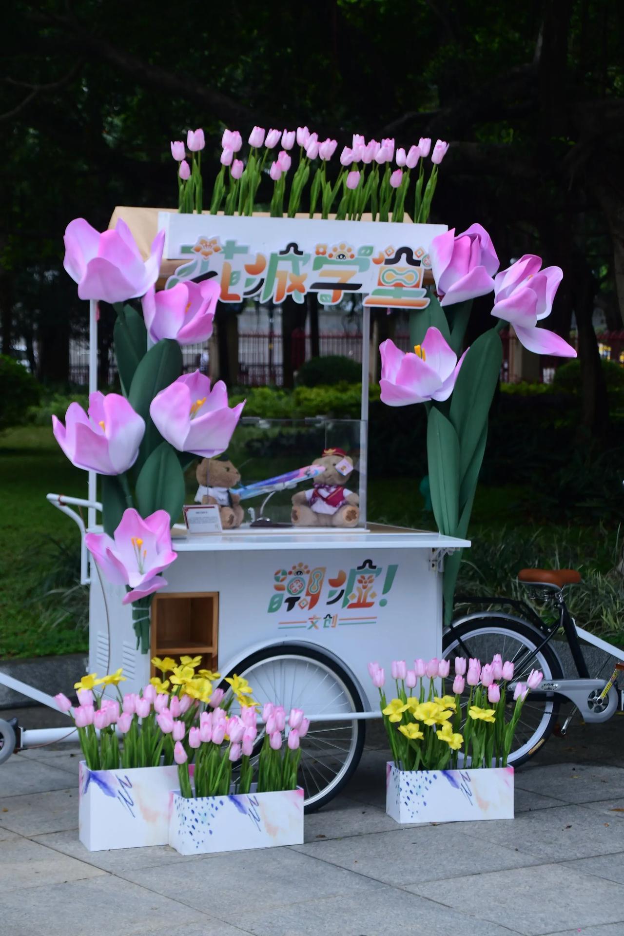 公园摆花 城市花市随手拍 广场月季花 城市里的花 花园城市的风景 公园花展随手拍