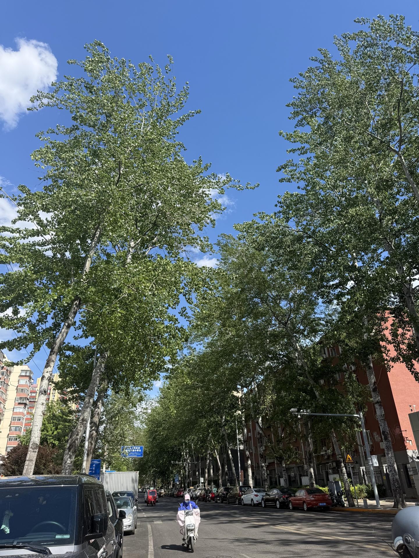 你限流吧