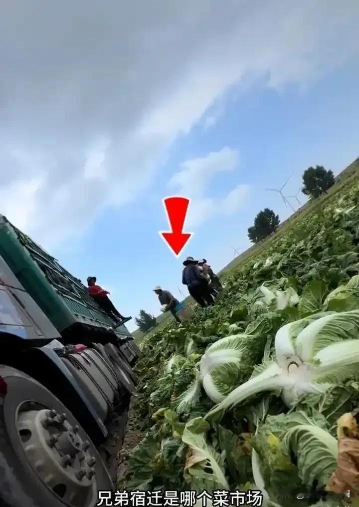食品安全这块我们国家真的要重视起来，现在得ai的人越来越多了，不都是吃出来的吗